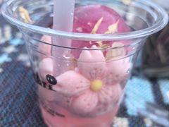 -J Create城市露营咖啡·简餐·宠物(上海动物园店)