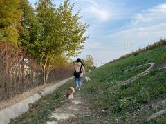 -合肥滨湖国家森林公园