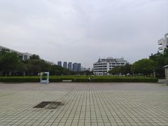 -顺德职业技术大学