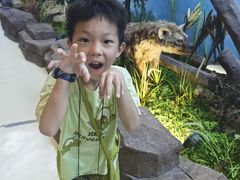 -西霞口神雕山野生动物世界