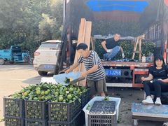 -徐州雨润农副产品全球采购中心