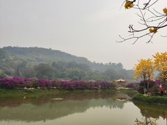 -南国桃园旅游度假区