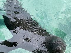 -珠海长隆海洋王国
