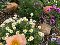 -名花谷生态庄园