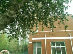 -望湘园·洞庭渔宴(永旺店)