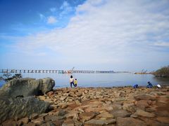 -宝安西湾红树林湿地公园