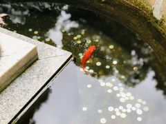 -星巴克臻选(思南公馆店)