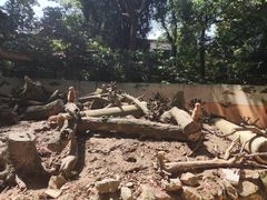 -杭州少年儿童公园