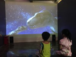 -恐龙探索乐园(磁器口店)