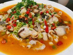 家常乌鱼-飞虹鱼馆(春华路店)