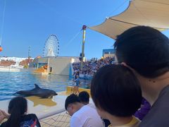 -秦皇岛乐岛海洋王国