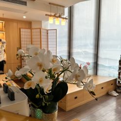 -宥莉·ULLY 痘敏肌•科技皮肤管理中心