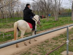 -宿豫区运河湾森林动物园