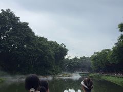 -广州长隆飞鸟乐园