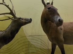 -国家自然博物馆