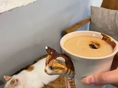 -J Create城市露营咖啡·简餐·宠物(上海动物园店)