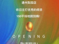 -梨园(地铁站)
