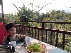-万兴启丰椰子文化园餐厅