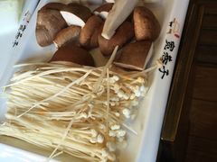 -宽巷子成都火锅(南站店)