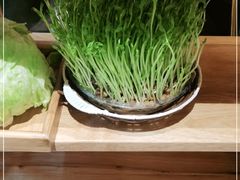 -好彩猪肚鸡(正弘城店)