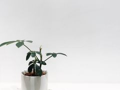 -Onirii Coffee(长乐路店)