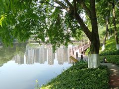 -重庆彩云湖湿地公园