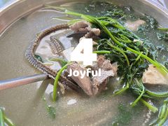 -香江农家乐饭店