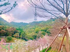 -景山公园