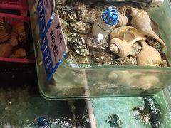 -强记海鲜·大排档(蛇口新街店)