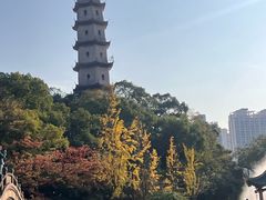 -江心屿景区