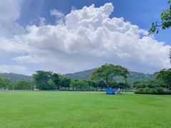 -顺峰山公园