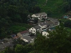 -龙井村
