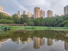-龙头寺公园