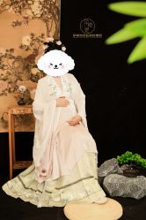 -孕视觉专业孕妇摄影(天津南开店)