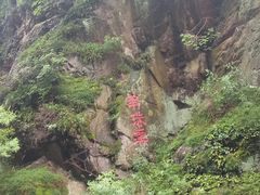 -云岫谷自然风景区