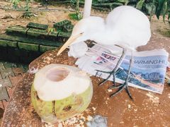 -吉隆坡雀鸟公园