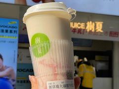 -树夏(鹭洲里店)