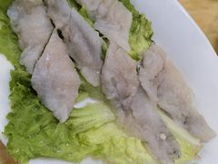 -金砂阿洲鱼册店