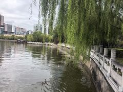 -迎泽公园