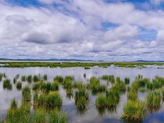 -花湖生态旅游区