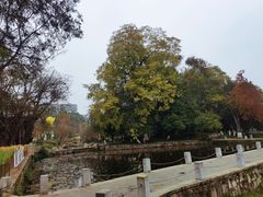 -花溪公园