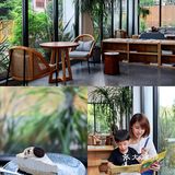 重庆遛娃 | 城市里的森林亲子咖啡馆🌲🍰☕️