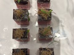 -镇江苏宁万豪酒店-苏筵中餐厅