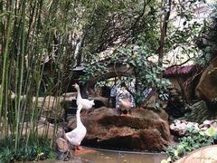 -竹吟山房