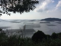 -小皓村