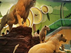 -陕西自然博物馆