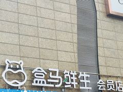 -盒马鲜生(大成店)