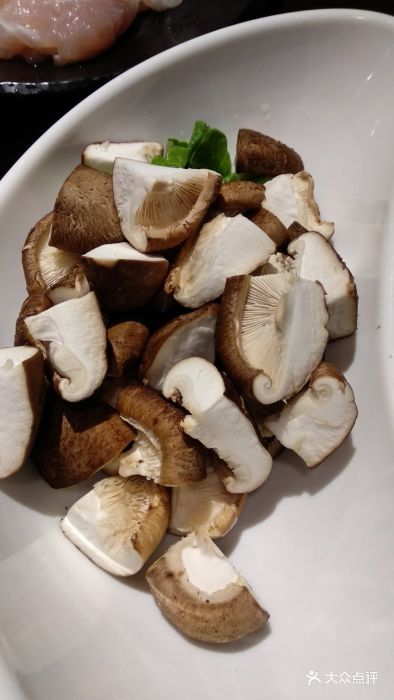 重庆怪味鱼美蛙火锅香菇图片 - 第1299张