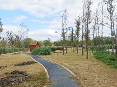 -溱湖国家湿地公园