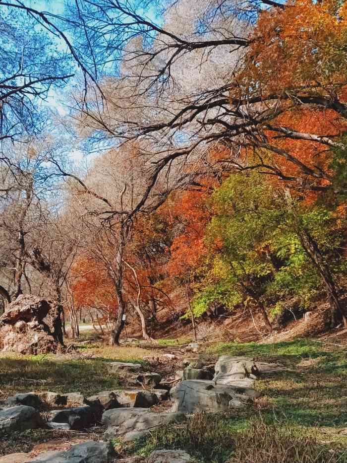 瀋陽國家森林公園